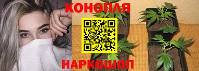 соль ск Краснознаменск