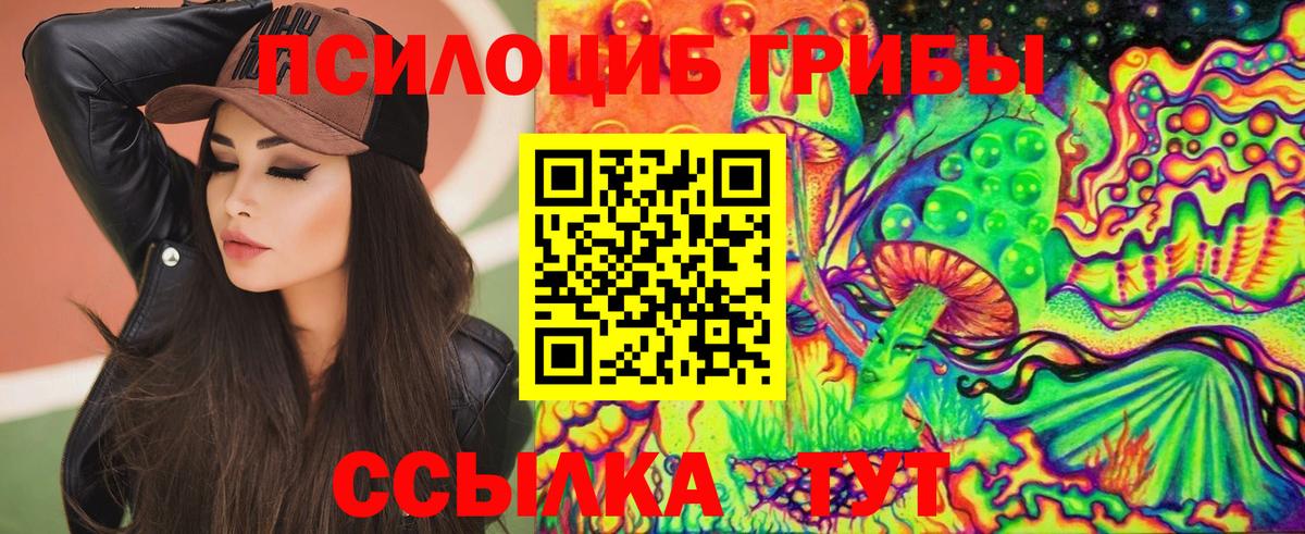 Псилоцибиновые грибы Psilocybine cubensis Кириши