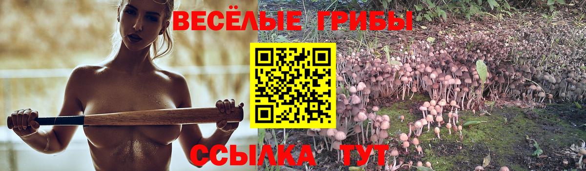 Псилоцибиновые грибы Psilocybe  Галлюциногенные грибы Magic Shrooms  Вход с VPN  Кириши 